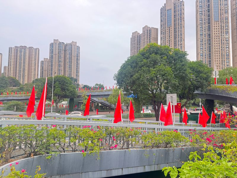 人行天桥化作空中红色长廊，护栏两侧整齐排列的五星红旗，像迎风挺立的红色卫士，红旗随风摇曳，与远处城市楼宇相映生辉，满眼尽是喜庆红韵。