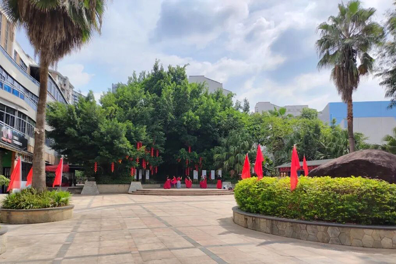 一面面红旗如翻涌的赤浪，在晋安各大景区铺展，汇成一片热烈澎湃的红色海洋，一串串红灯笼高高悬挂，圆润饱满、暖意融融，随风轻轻摇曳，光影流转间，为秋日增添了万般喜庆。