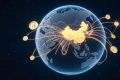 2025年度中国对外直接投资流量2135.8亿美元