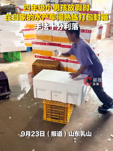 四年级男孩车间熟练打包封箱牡蛎 手法十分利落