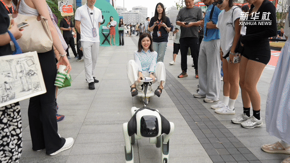 人形机器人叩响消费市场 离走进家庭还有多远？