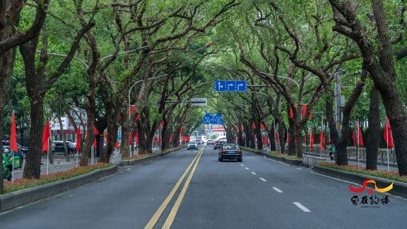 华林路