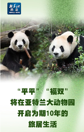 大熊猫“平平”“福双”已运至亚特兰大动物园