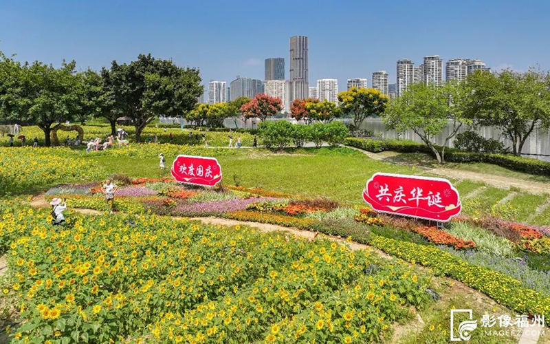 此外，江边花田附近的月季园布置正在加紧赶工。记者 包华 摄