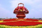 国庆“祝福祖国”巨型花篮，也太好看了！