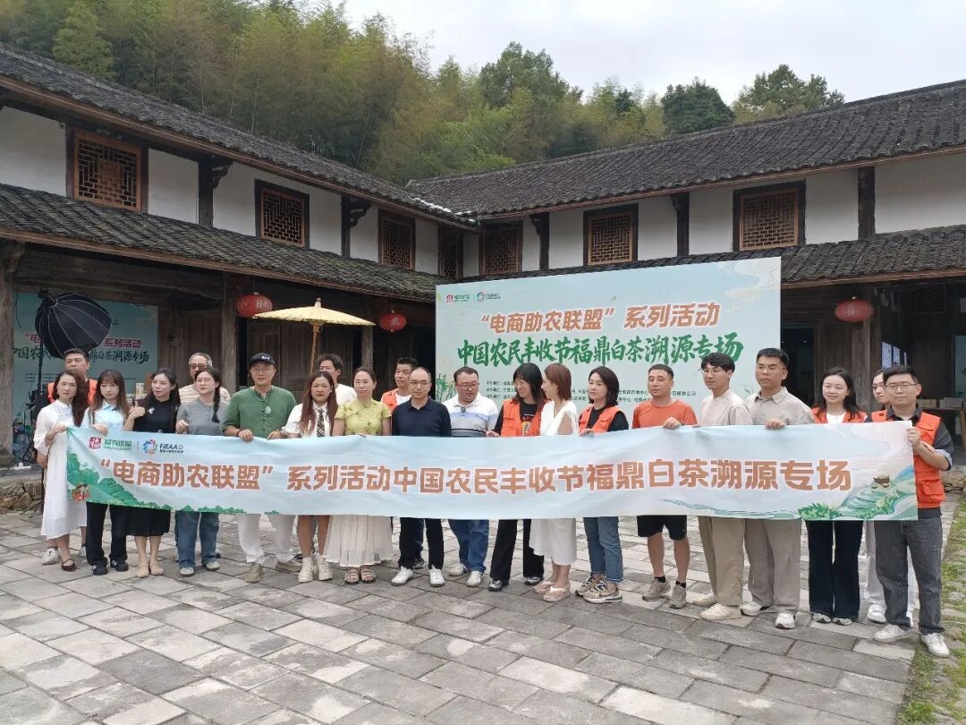 丰收有希望，白茶依然香