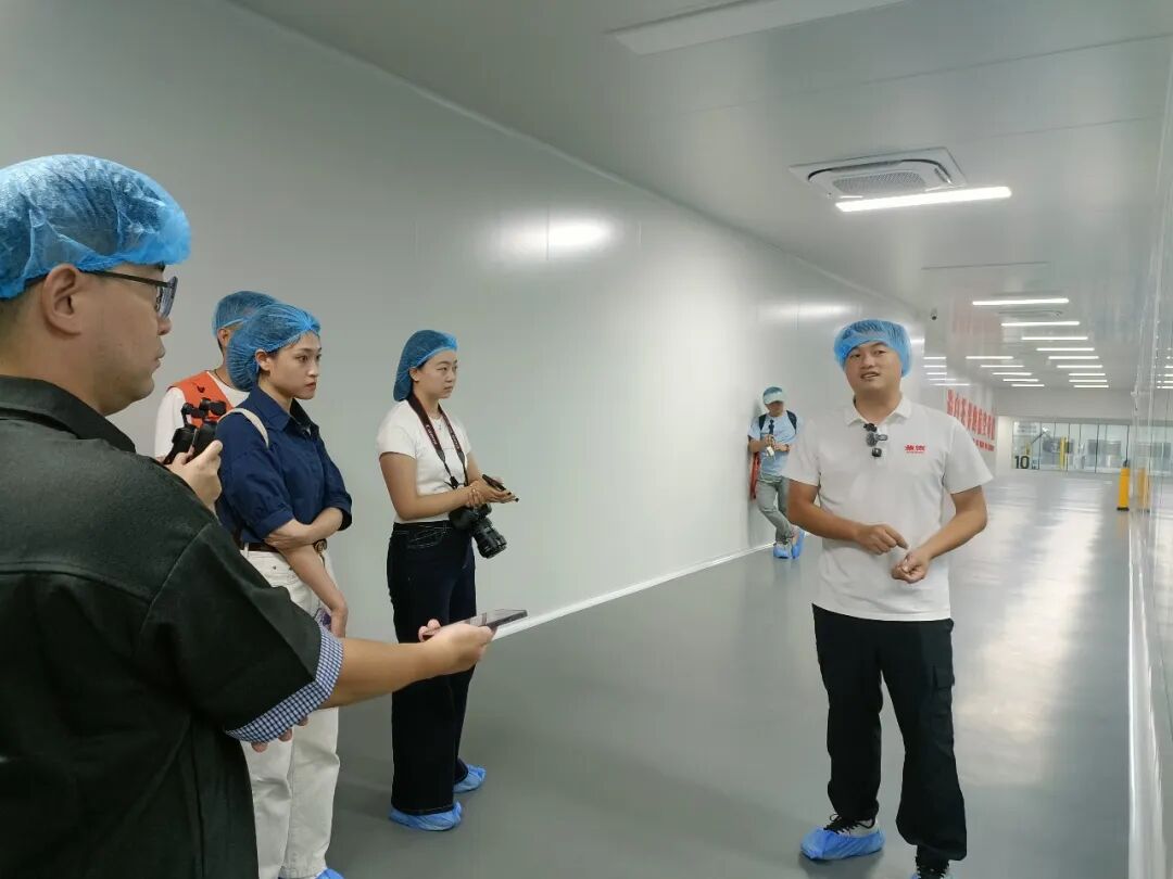 丰收有希望，白茶依然香
