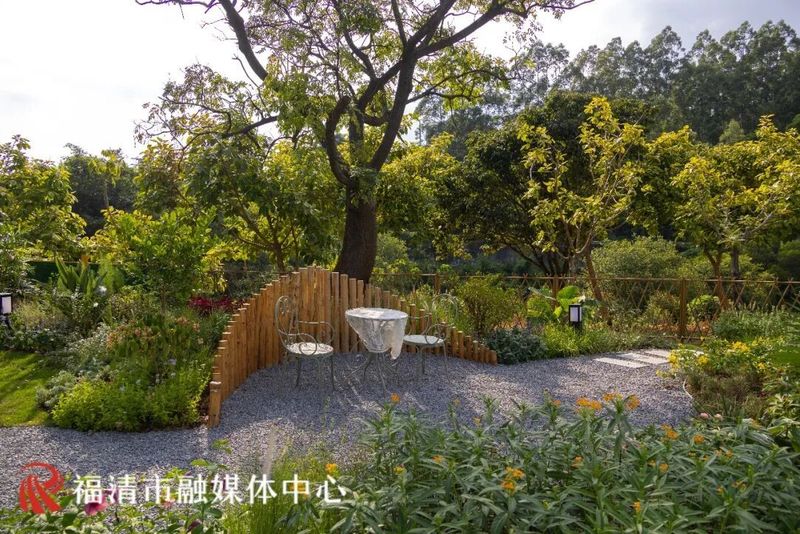 坐落于小南洋村的中央公园苗木基地内，由福清市城投集团所属苗木公司自营打造的花间堂花艺休闲驿站于8月初动工，目前已全面完工。