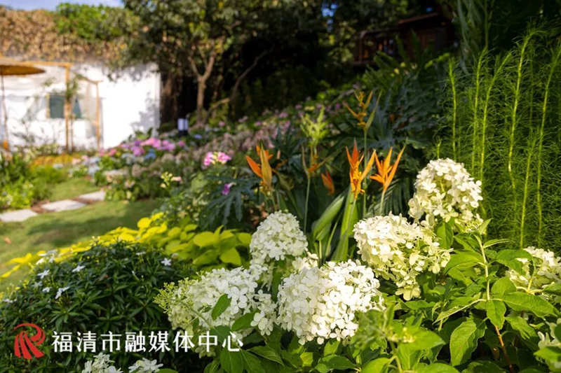 坐落于小南洋村的中央公园苗木基地内，由福清市城投集团所属苗木公司自营打造的花间堂花艺休闲驿站于8月初动工，目前已全面完工。