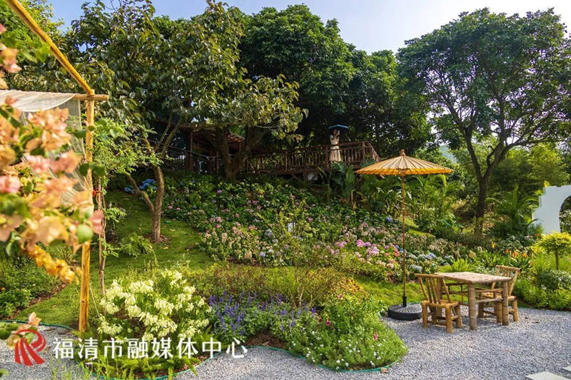 坐落于小南洋村的中央公园苗木基地内，由福清市城投集团所属苗木公司自营打造的花间堂花艺休闲驿站于8月初动工，目前已全面完工。