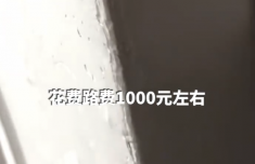 网购香菜仅退款 商家驾车千余公里上门要回