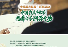 中国农民丰收节福鼎白茶溯源专场开启