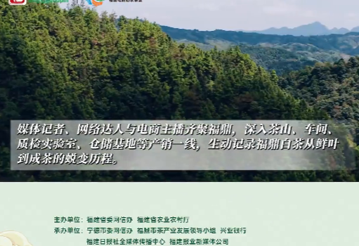 中国农民丰收节福鼎白茶溯源专场走进宁德福鼎