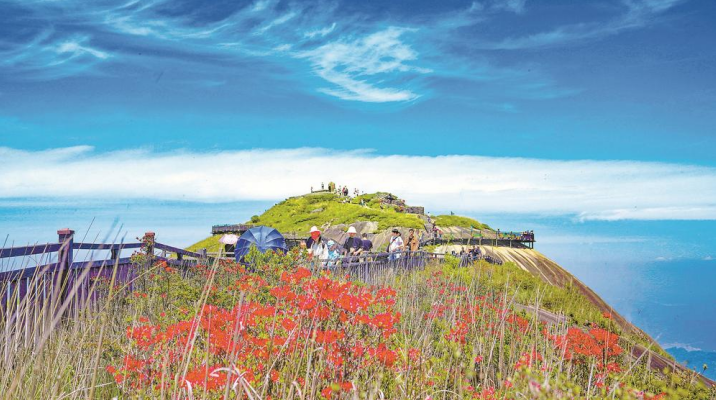 金融涌新流激荡消费经济一池春水(图3)