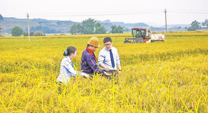 金融涌新流激荡消费经济一池春水(图1)