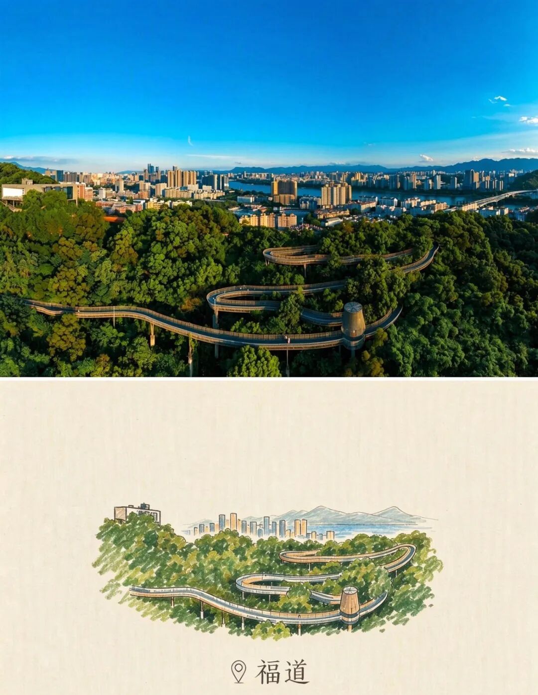 福道被《国家地理》评为全球十大最美步行道，行走其间，仿佛在森林上空漫步。