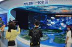 行走厦门 感受城市创新脉动