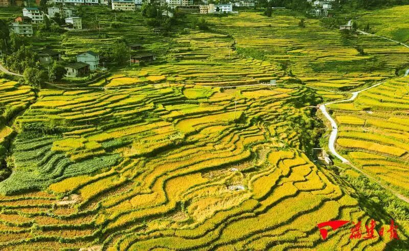 “闽式生活”超带感｜去福建的村里，捡一片秋天