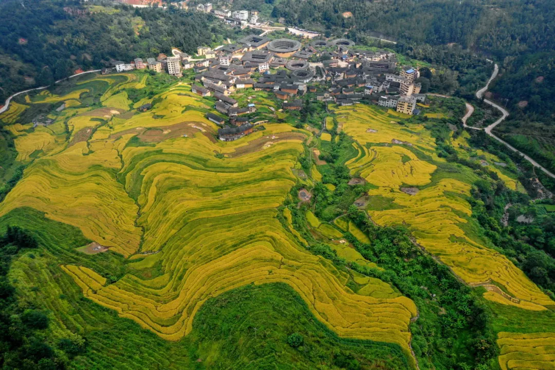 “闽式生活”超带感｜去福建的村里，捡一片秋天