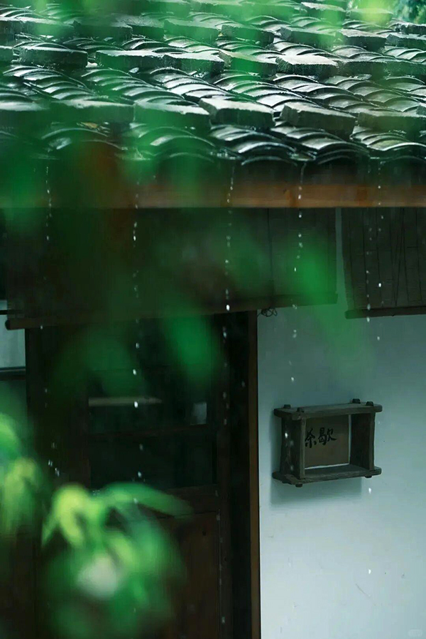 雨中“吃茶”显得诗意浪漫。