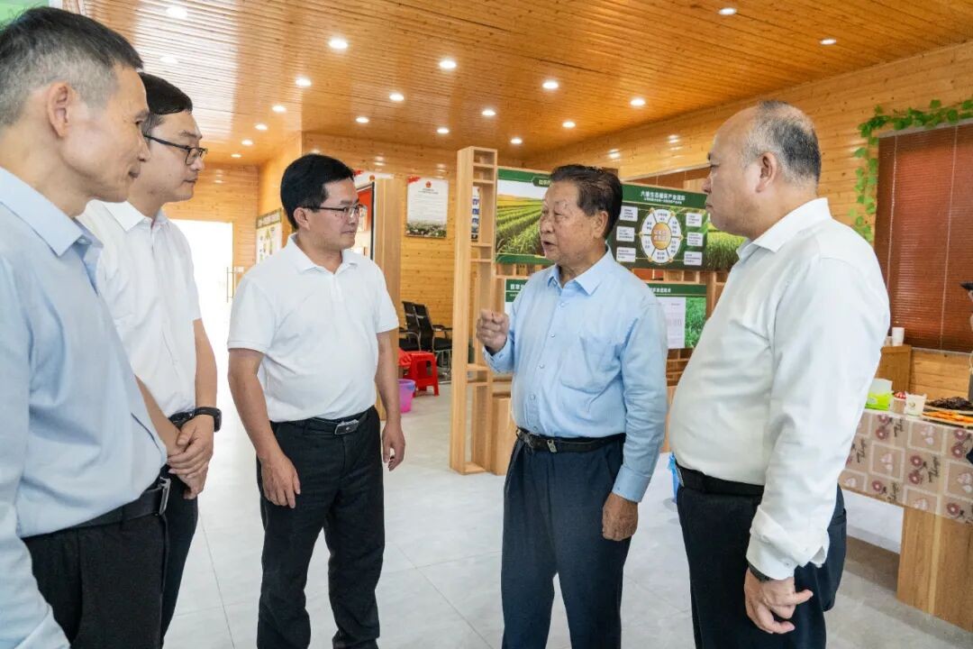 千年珍禽振翅！连城白鸭串起13亿元富民产业链