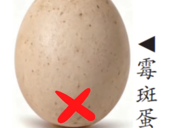 这种“长斑”的鸡蛋 千万别再吃了 专家提醒两类可食两类须弃