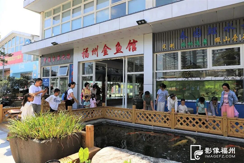福州金鱼馆开业期间人气高涨。记者 陈堡 摄