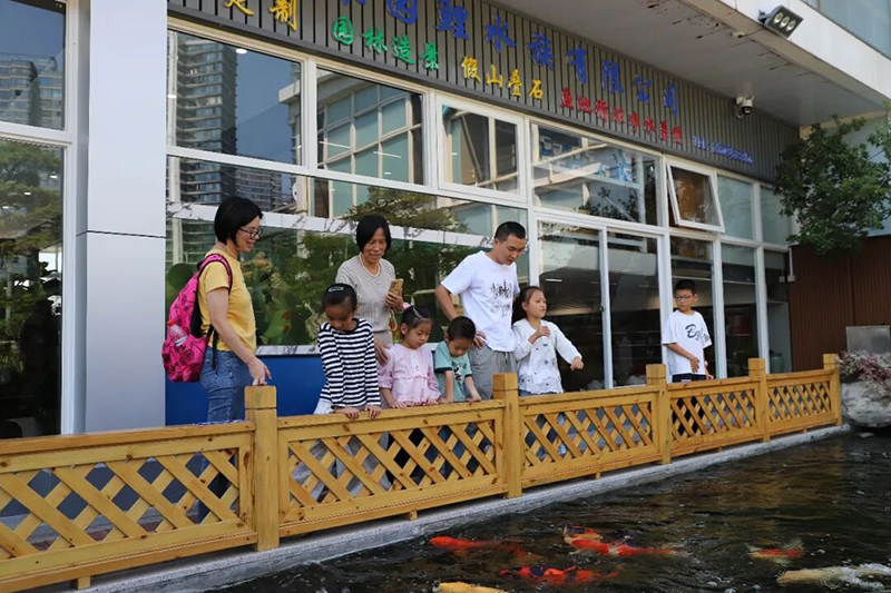 市民可以体验喂鱼的乐趣。记者 陈堡 摄
