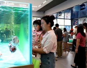 福州首家！园林式金鱼馆全天候免费开放