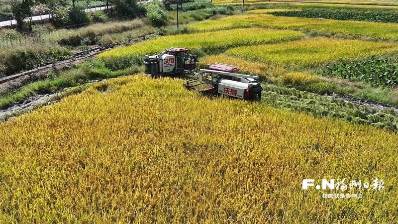 闽侯廷坪乡西坑村昔日撂荒地今成丰收田