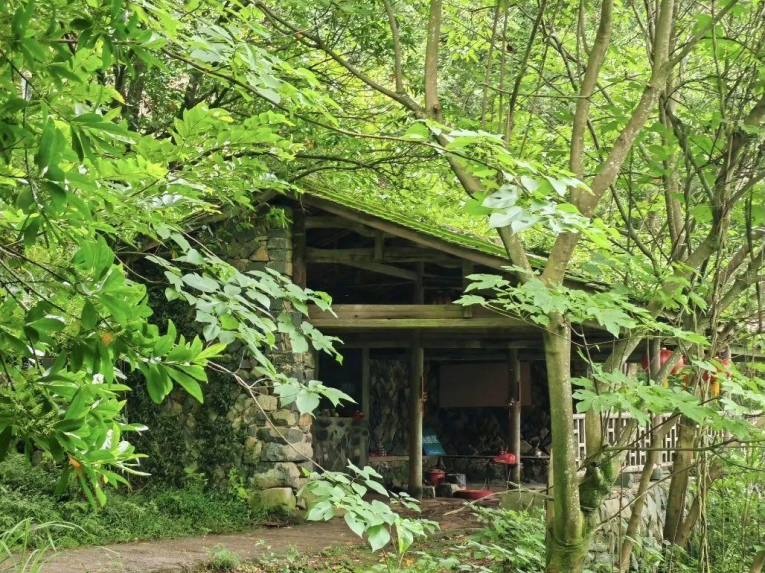 福州这条千年古道，何以成为新晋“顶流”？