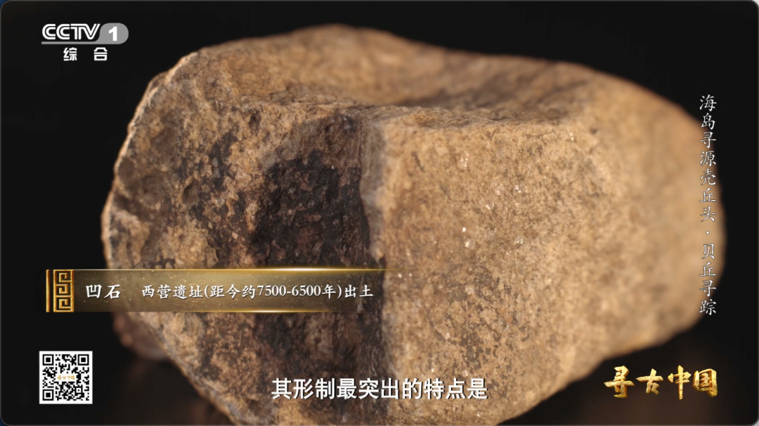 这套“专属工具包” 让福建海岛古人实现海鲜自由
