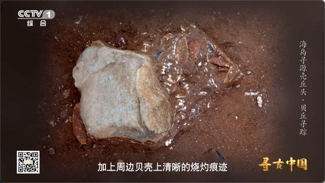 这套“专属工具包” 让福建海岛古人实现海鲜自由