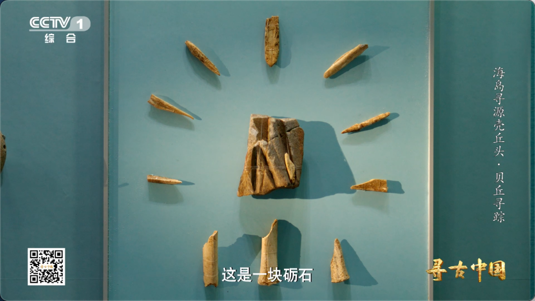 这套“专属工具包” 让福建海岛古人实现海鲜自由