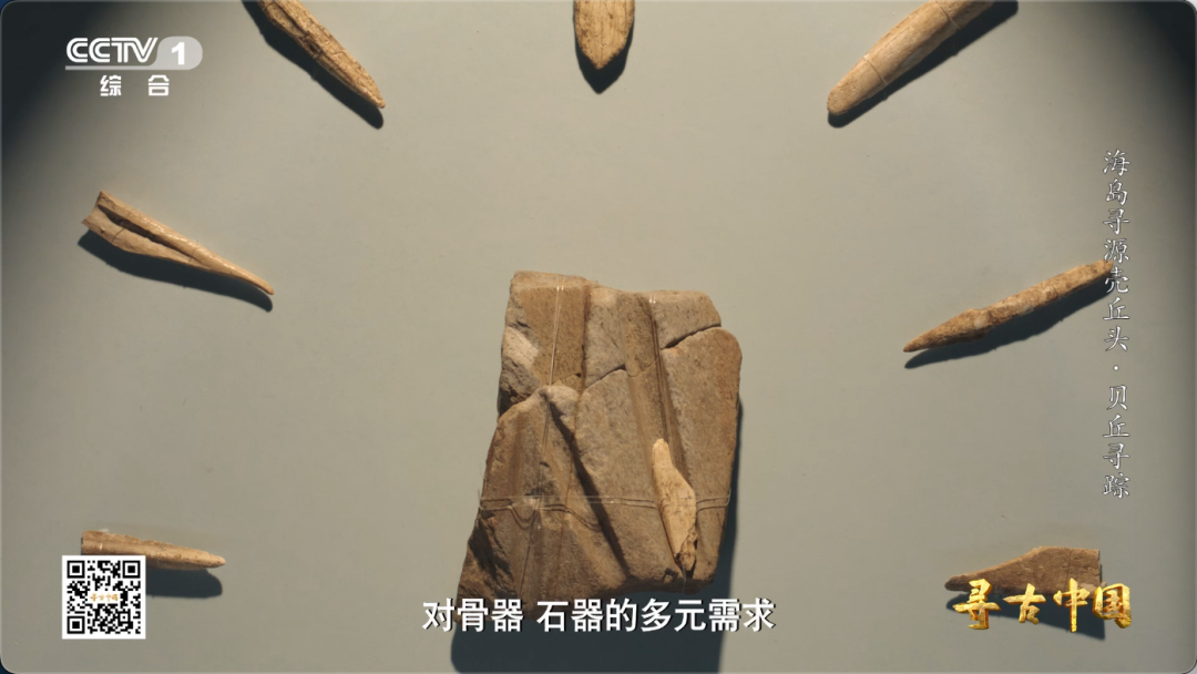 这套“专属工具包” 让福建海岛古人实现海鲜自由