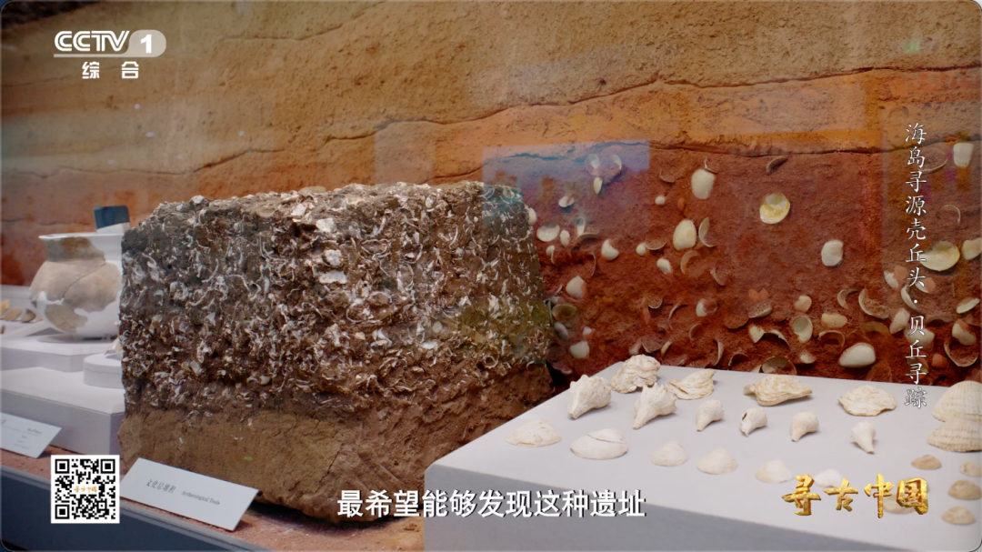 这套“专属工具包” 让福建海岛古人实现海鲜自由