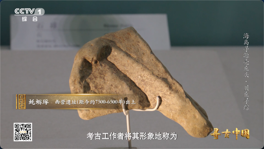 这套“专属工具包” 让福建海岛古人实现海鲜自由