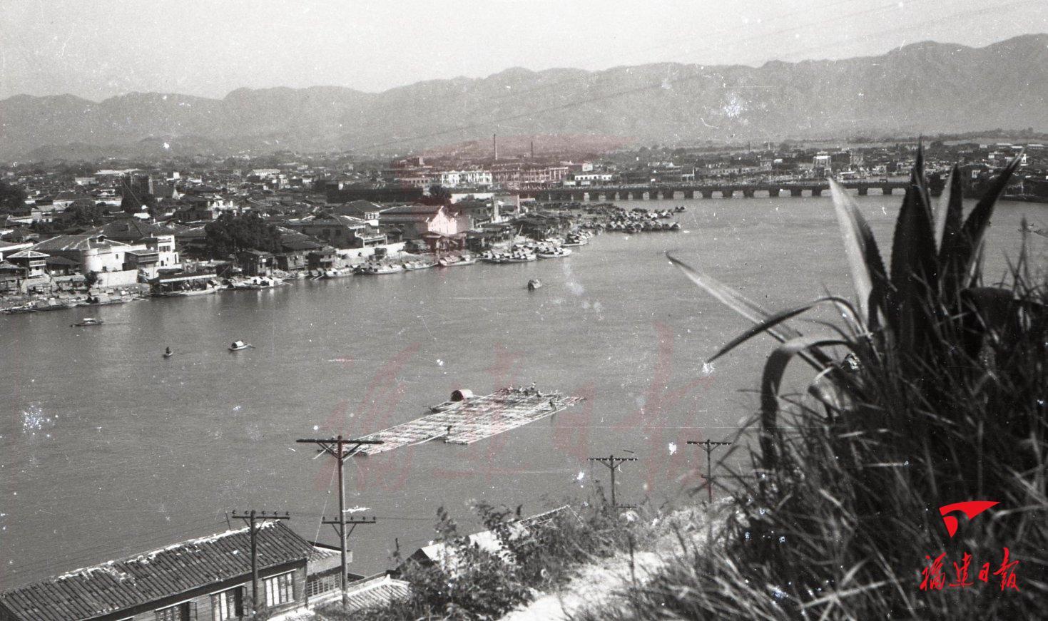 中洲岛火了，这座桥藏不住了