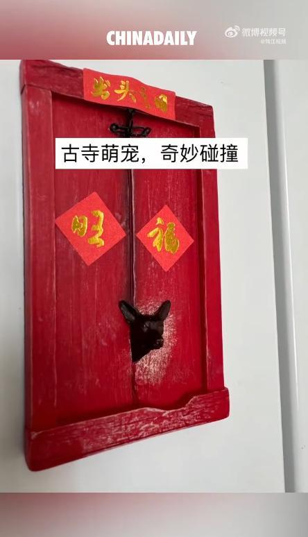 佛光寺小狗门上刨洞被做成文创爆火，寺方回应：非官方商品，原型是护院犬“二亮”