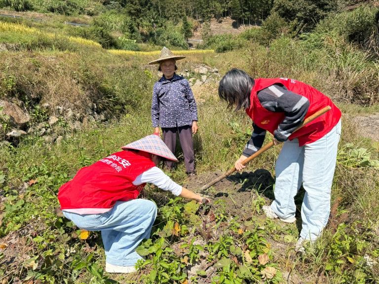 平安产险福建分公司:秋收助农 守护丰收好年景