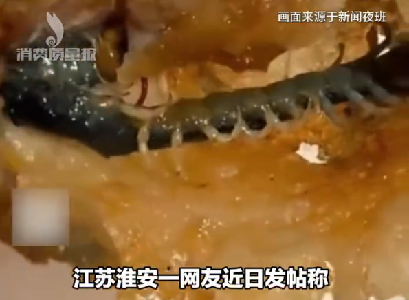 炸鸡吃出整条蜈蚣 商家已停业整顿 拒绝顾客索要的1000元赔偿