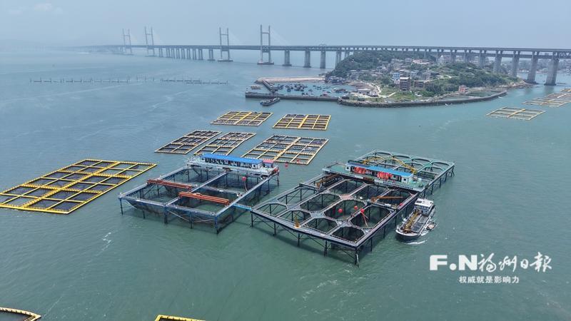 福州新区（长乐区）：一张“蓝”图绘到底 海上“风光”连成景