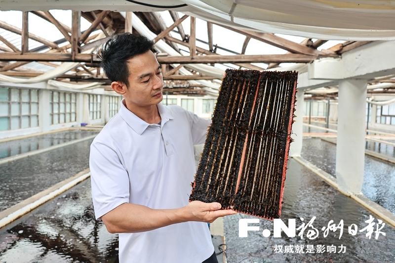 连江：绿智双擎 挺进深蓝