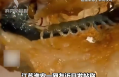 炸鸡吃出整条蜈蚣 商家已停业整顿 拒绝顾客索要的1000元赔偿