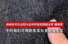酷似头发的野菜是国家一级保护植物 网购者报警卖家获刑1年6个月