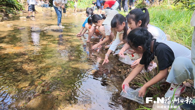 500尾林氏细鲫游回山涧