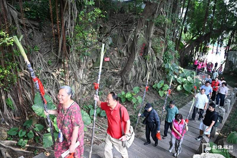 重阳携蔗登高健步行火热进行。池远/摄