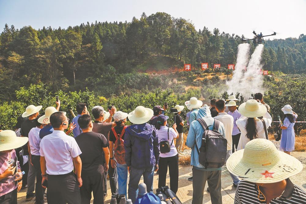 丘陵山区果园生产迈向全程机械化