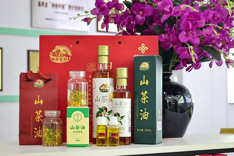 眼下，连江蓼沿乡油茶进入采收黄金期。