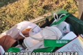 00后北漂患上“扔垃圾羞耻” 有人专挑晚上8点55分下楼